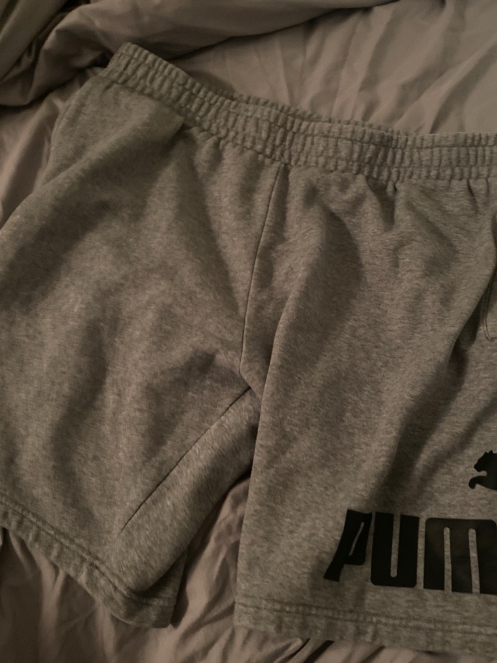 Puma workout/casual shorts size XL Mens